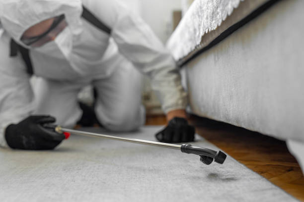 Professional Bed Bug Control technician working in DeForest, WI
